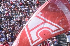 DSC_1119