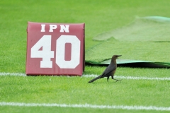A21