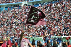 A31-15