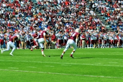 A31-16