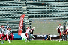 A31-17