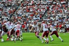A31-20