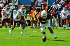 A31-24