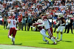 A31-5