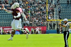 A31-6