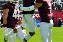 A31-7