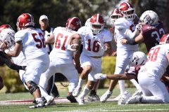 frailes-tepeyac-buhos-ipn-intermedia-2025-onefa17