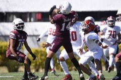 frailes-tepeyac-buhos-ipn-intermedia-2025-onefa27