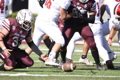 frailes-tepeyac-buhos-ipn-intermedia-2025-onefa87