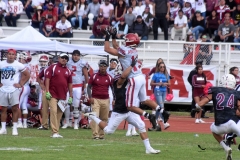 DSC_5946