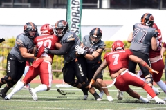 leones-anahuac-aguilas-blancas-2023-onefa-playoffs-109
