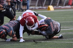 leones-anahuac-aguilas-blancas-2023-onefa-playoffs-167