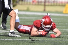 leones-anahuac-aguilas-blancas-2023-onefa-playoffs-190