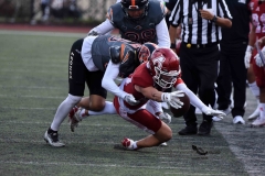 leones-anahuac-aguilas-blancas-2023-onefa-playoffs-209