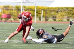 leones-anahuac-aguilas-blancas-2023-onefa-playoffs-59