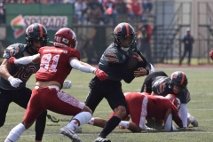 leones-anahuac-aguilas-blancas-2023-onefa-playoffs-69