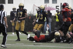 leones-anahuac-cancun-potros-uaem-2024-onefa-1