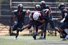 leones-anahuac-queretaro-buhos-ipn-2023-intermedia-onefa-82
