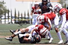 leones-anahuac-queretaro-frailes-tepeyac-final-2023-intermedia-71