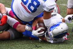 linces-uvm-borregos-ccm-onefa-2025-mayor-136
