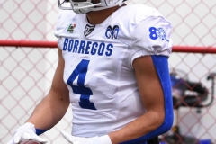 linces-uvm-borregos-ccm-onefa-2025-mayor-192