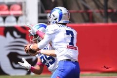 linces-uvm-borregos-ccm-onefa-2025-mayor-35