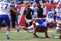 linces-uvm-borregos-ccm-onefa-2025-mayor-36