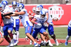 linces-uvm-borregos-ccm-onefa-2025-mayor-46
