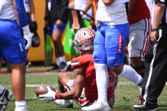 linces-uvm-borregos-ccm-onefa-2025-mayor-75