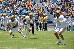 aguilas-blancas-pumas-cu-2023-onefa-70