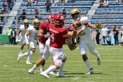 aguilas-blancas-pumas-cu-2023-onefa-82