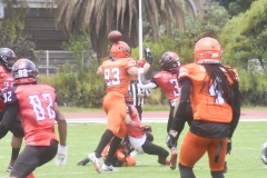 parrilleros-rojos-fam-yox-2022-37