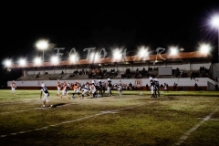 PIELES-VS-TESE-INTER.-2020-14
