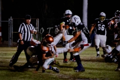 PIELES-VS-TESE-INTER.-2020-16