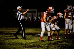 PIELES-VS-TESE-INTER.-2020-2