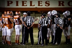 PIELES-VS-TESE-INTER.-2020-31
