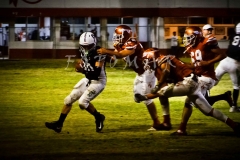 PIELES-VS-TESE-INTER.-2020-33
