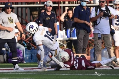 pumas-acatlan-buhos-intermedia-2025-12