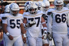 pumas-acatlan-buhos-intermedia-2025-34