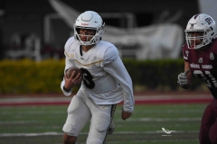 pumas-acatlan-buhos-intermedia-2025-69