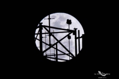 pumas-acatlan-buhos-intermedia-2025-91