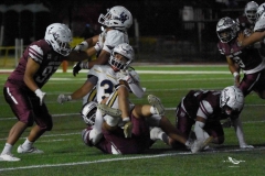 pumas-acatlan-buhos-intermedia-2025-95