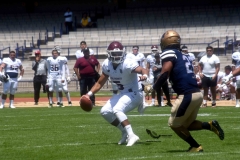 pumas-acatlan-burros-blancos-onefa-2023-119