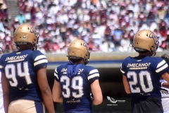 pumas-acatlan-burros-blancos-onefa-2023-138