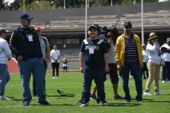 pumas-acatlan-burros-blancos-onefa-2023-18