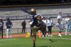 pumas-acatlan-burros-blancos-onefa-2023-48