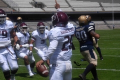 pumas-acatlan-burros-blancos-onefa-2023-67