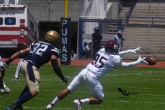 pumas-acatlan-burros-blancos-onefa-2023-84