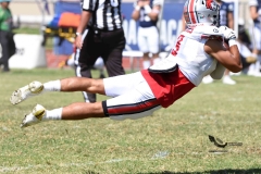 pumas-acatlan-linces-uvm-onefa-2023-liga-mayor-167