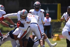 pumas-acatlan-linces-uvm-onefa-2023-liga-mayor-24